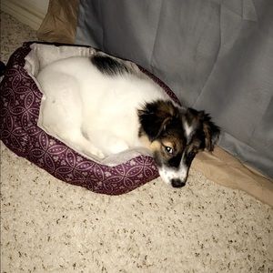 Meet your Posher, Tommy