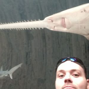 Meet your Posher, Wayne