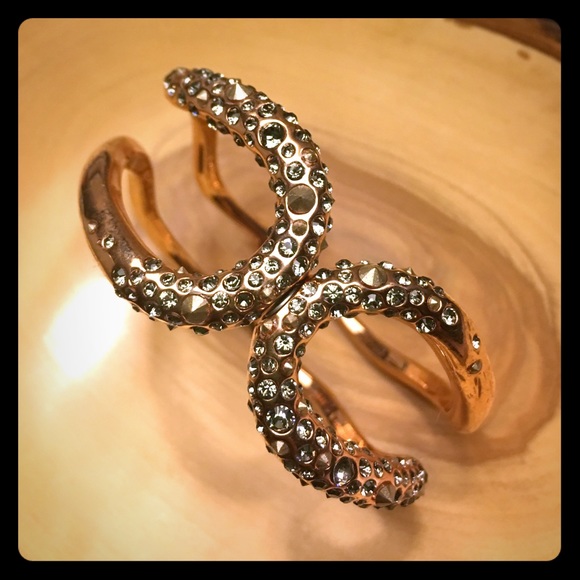 Alexis Bittar - Picture 1 of 4