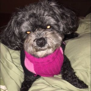 Meet your Posher, Veronica