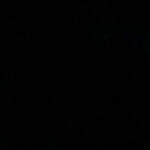 Meet your Posher, Abigail