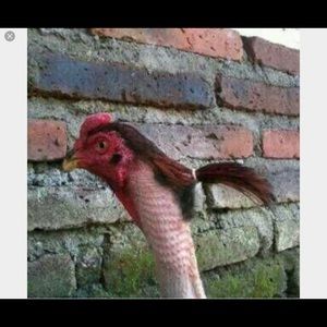 Meet your Posher, Tori