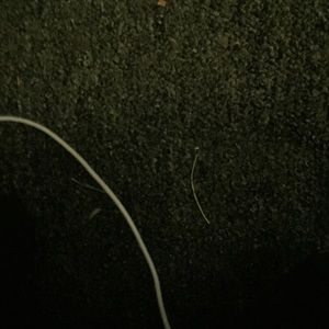 Meet your Posher, Dan