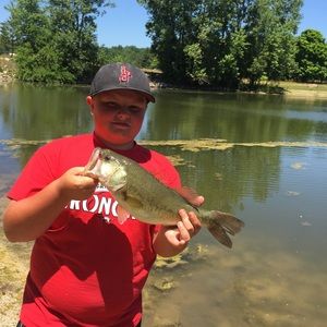 Meet your Posher, Justin