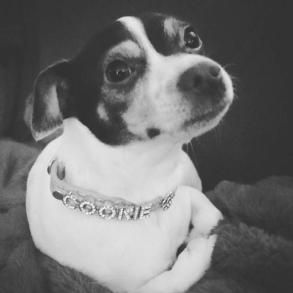 Meet your Posher, Lale