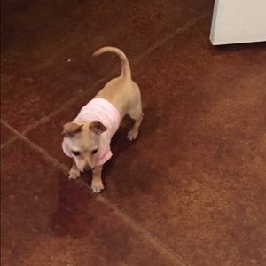 Meet your Posher, Robbie