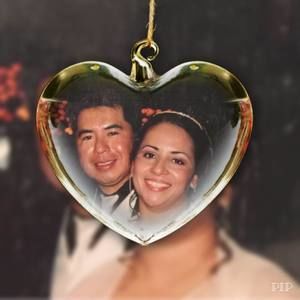 Meet your Posher, Sylvia