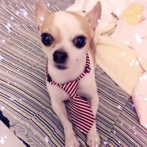 Meet your Posher, Lulu