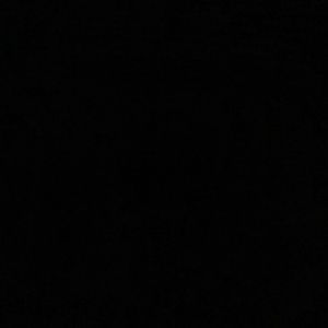 Meet your Posher, Jerry