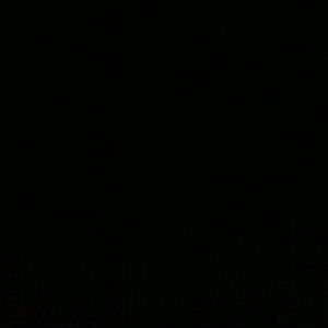 Meet your Posher, Julianne