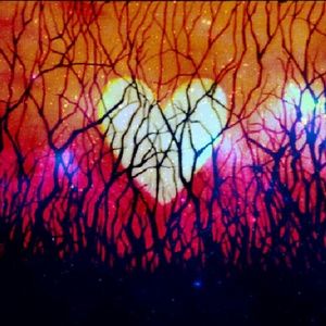 Meet your Posher, Steve