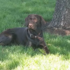 Meet your Posher, Tina