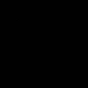 Meet your Posher, Sharron