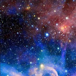 Meet your Posher, Ivan