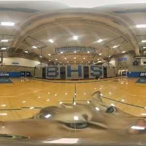 Meet your Posher, Henry