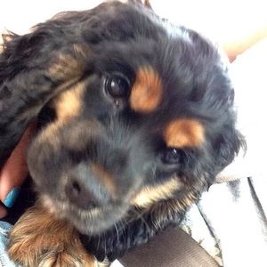 Meet your Posher, Lourdes