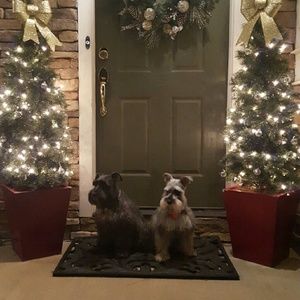 Meet your Posher, Tonya