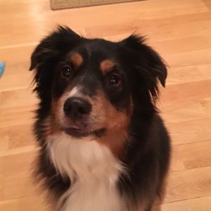 Meet your Posher, Laura