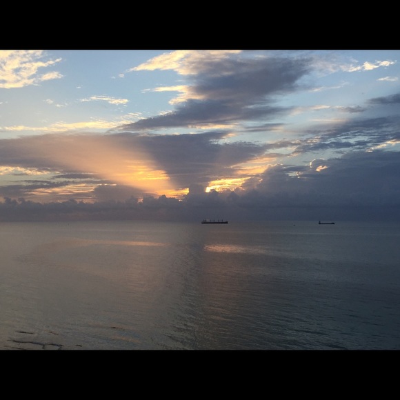 Meet your Posher, Evelyn - Picture 1 of 1