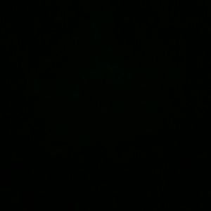 Meet your Posher, Tamara