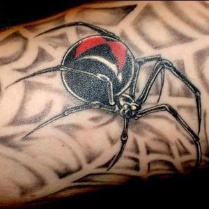 Meet your Posher, Oscar