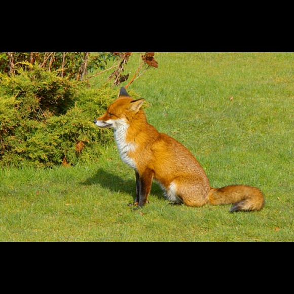 MEN'S SECTION - Picture 3 of 4