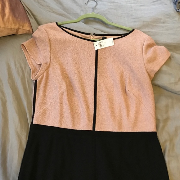 NWT Ann Taylor pencil dress, size 14