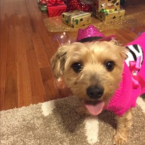 Meet your Posher, Riza