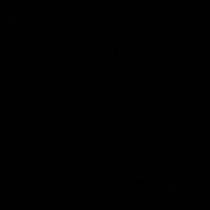 Meet your Posher, Moesha