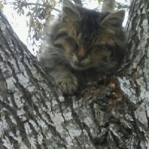 Meet your Posher, Luis