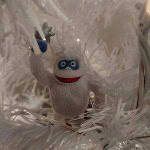 Meet your Posher, Royann