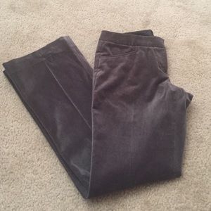 Grey Velvet Pants