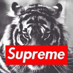 Meet your Posher, Gerrell