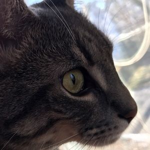 Meet your Posher, Nora