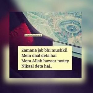 Meet your Posher, Ali