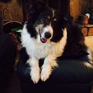 Meet your Posher, Vicki