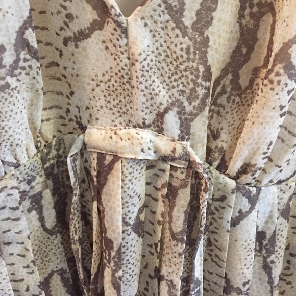 Animal Print Dress - Picture 3 of 3