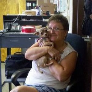 Meet your Posher, Janet