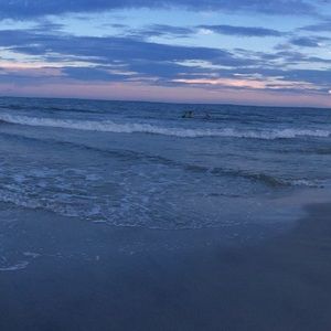 Meet your Posher, Carol