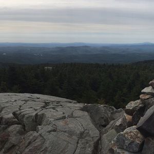 Meet your Posher, Macy