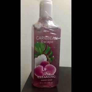 Bath & Body Works Caribbean Escape hand soap