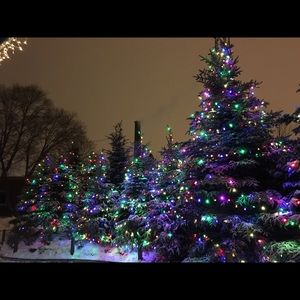 Meet your Posher, Liz