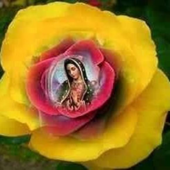 Meet your Posher, Berta