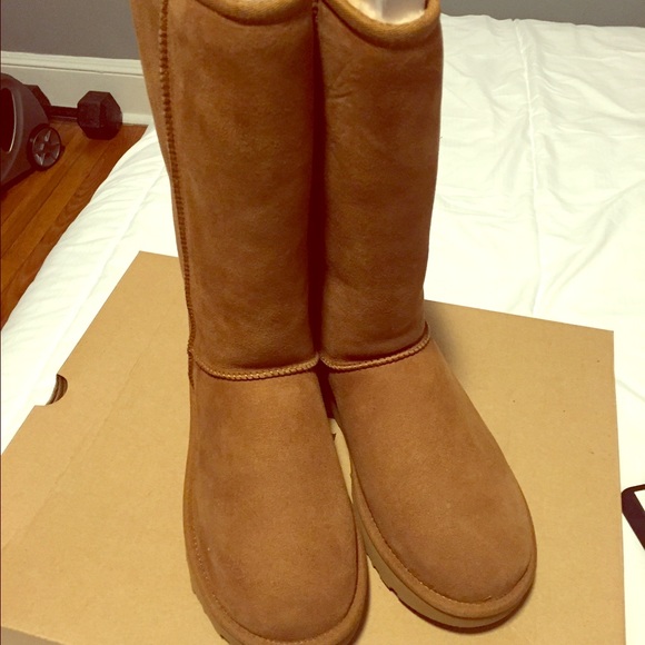 Brand new chestnut tall uggs