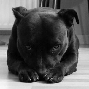 Meet your Posher, Nicolas