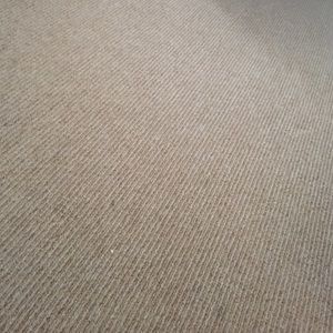 Meet your Posher, Nora