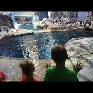 Meet your Posher, Lindsey