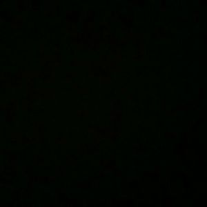 Meet your Posher, Raul