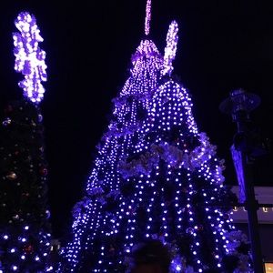 Meet your Posher, Shea