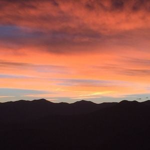 Meet your Posher, Kasey